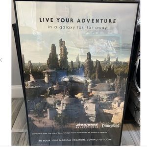Disney Star Wars Park Promo Poster